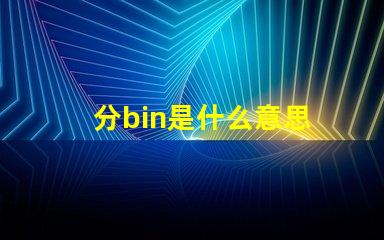 分bin是什么意思 bin目錄是什么意思